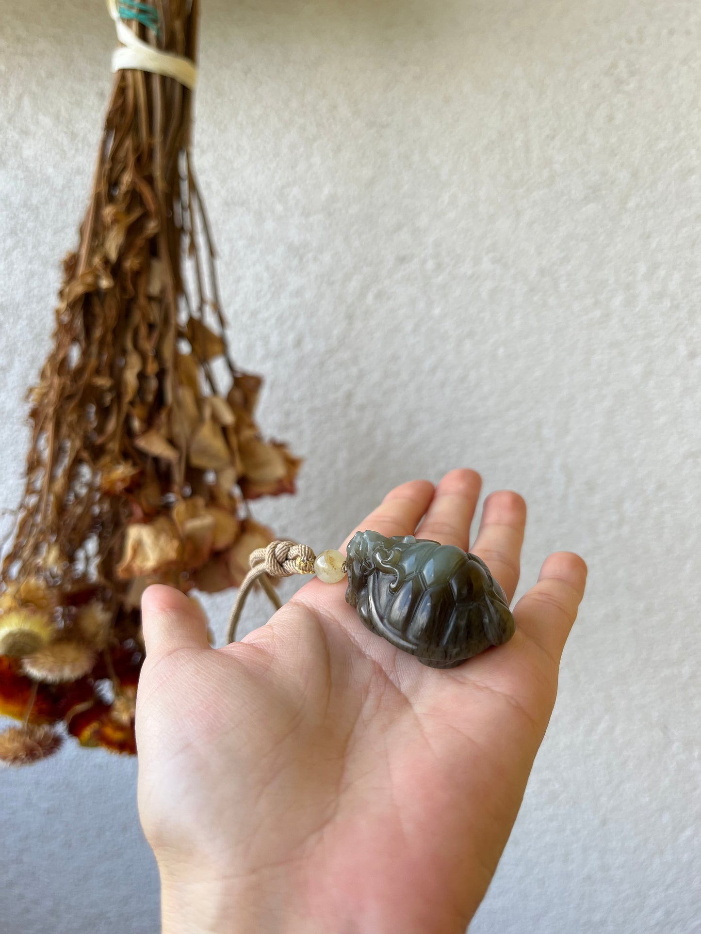 Hand Carved Brown Jade Dragon Turtle，手雕和田龙龟